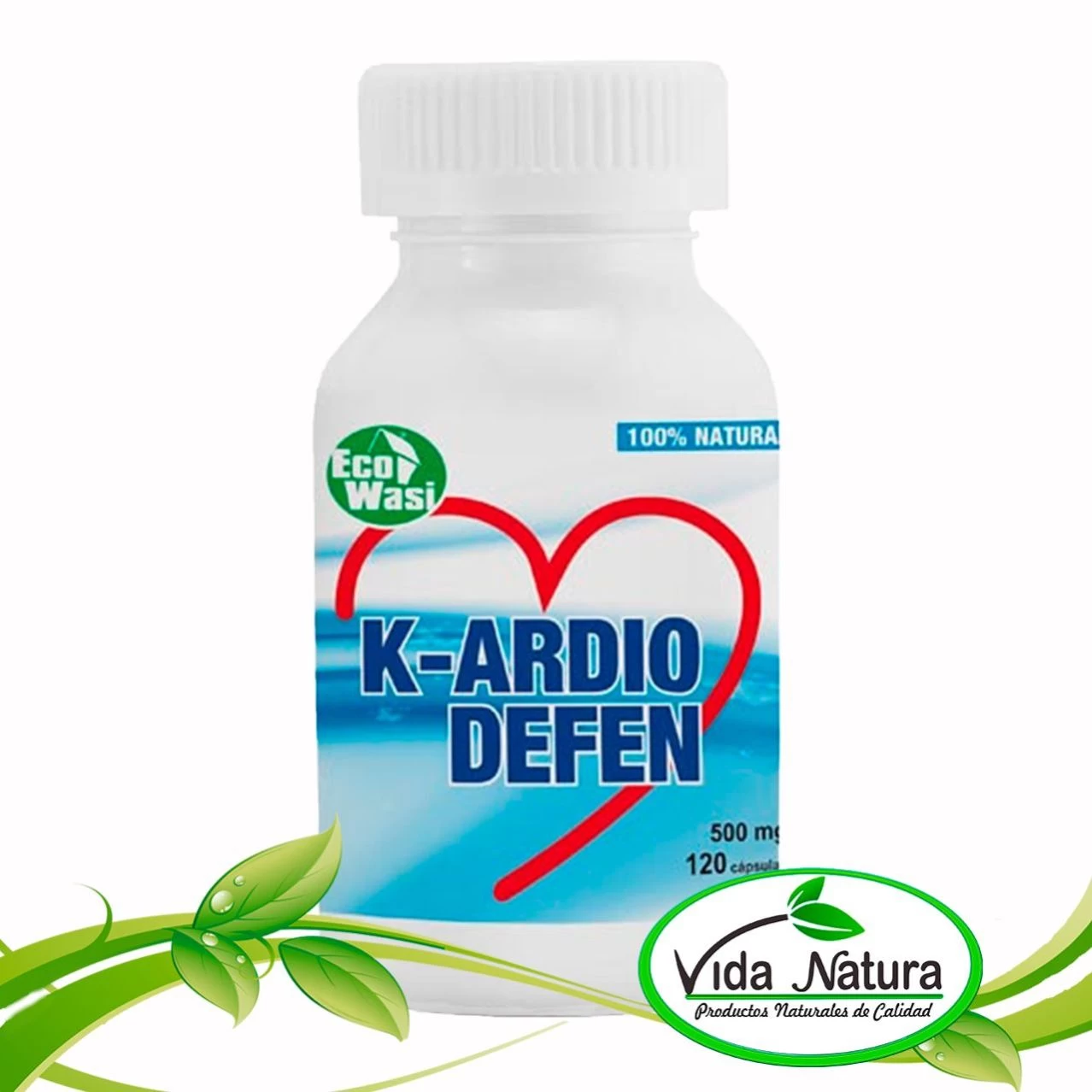 KARDIODEFEN