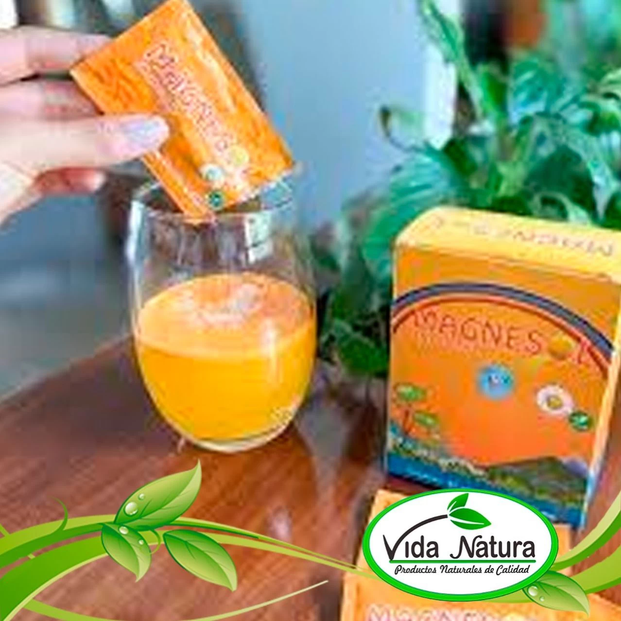 MAGNESOL NARANJA SACHET UND