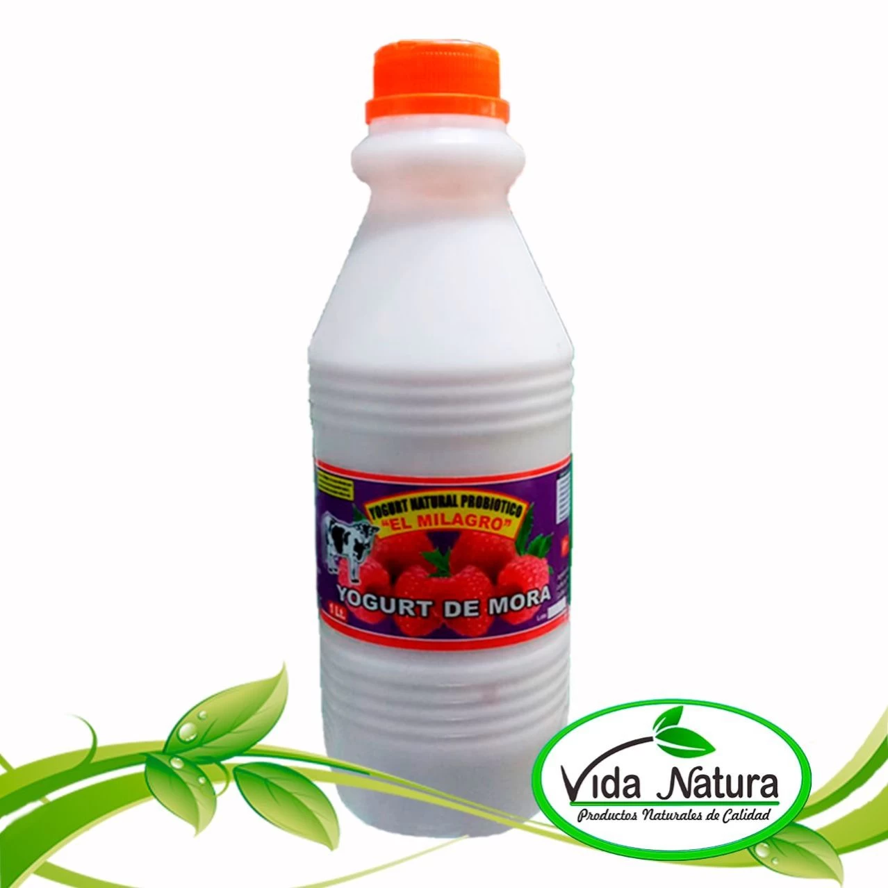 YOGURTH C/STEVIA MORA