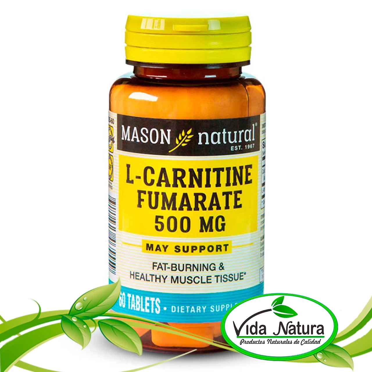 L-CARNITINE 500 mg