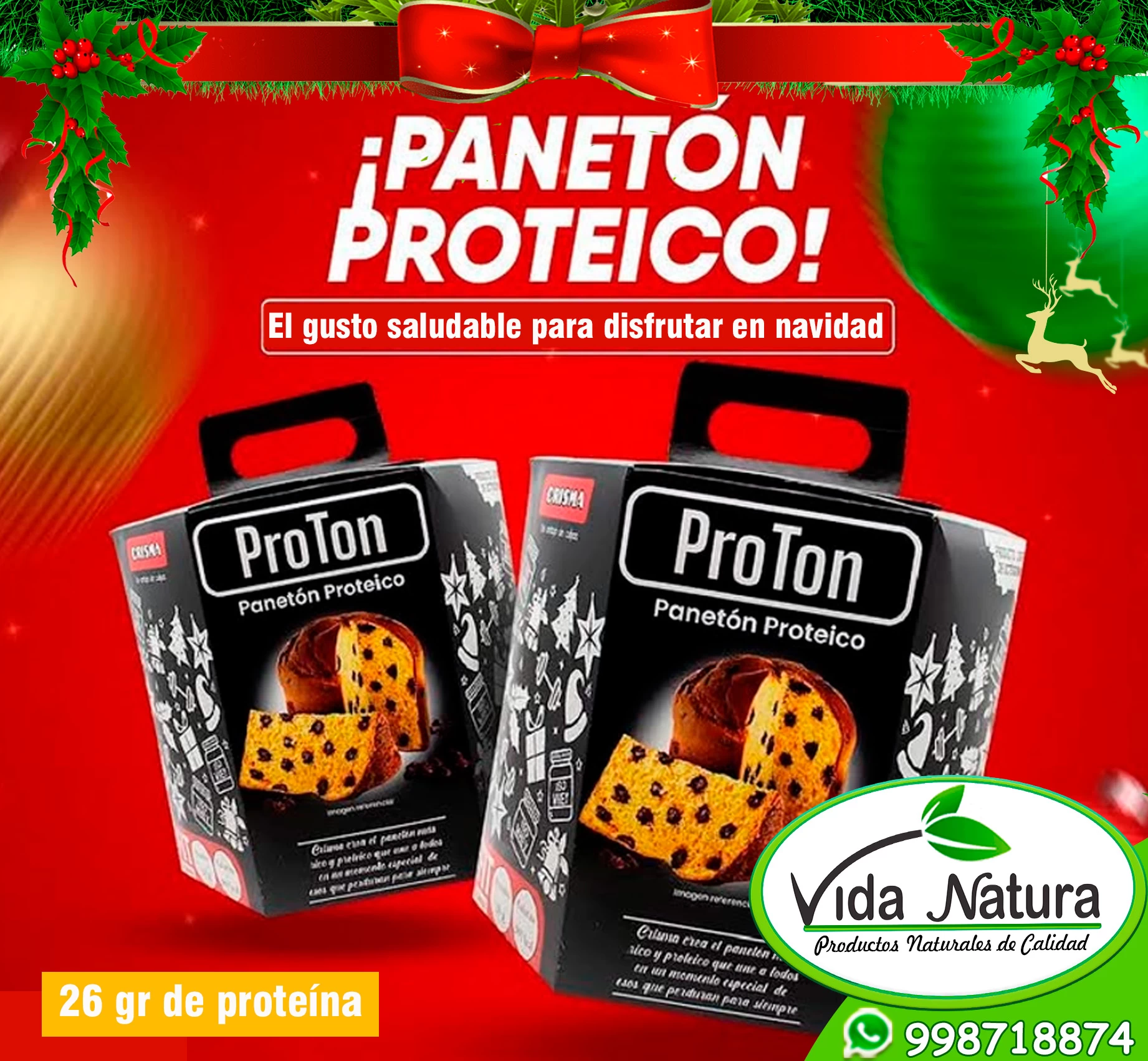 PANETON PROTEICO PROTON